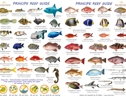 Create a citizen science scheme on reef fish, bird and butterfly diversity